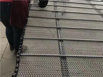 鏈條輸送帶圖片5 鏈條輸送帶圖片5