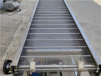 鏈條輸送帶圖片10 鏈條輸送帶圖片10