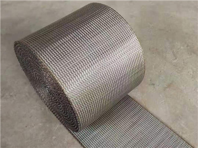 人字網帶圖片6 人字網帶圖片6