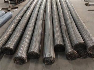 雙旋網(wǎng)帶圖片2 雙旋網(wǎng)帶圖片2