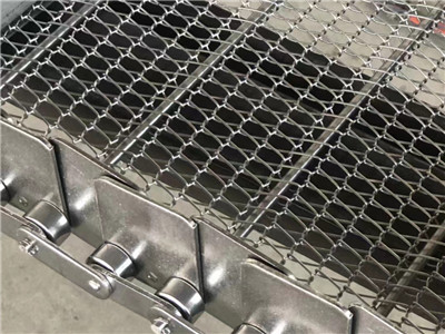 鏈條輸送帶案例圖片2 鏈條輸送帶案例圖片2